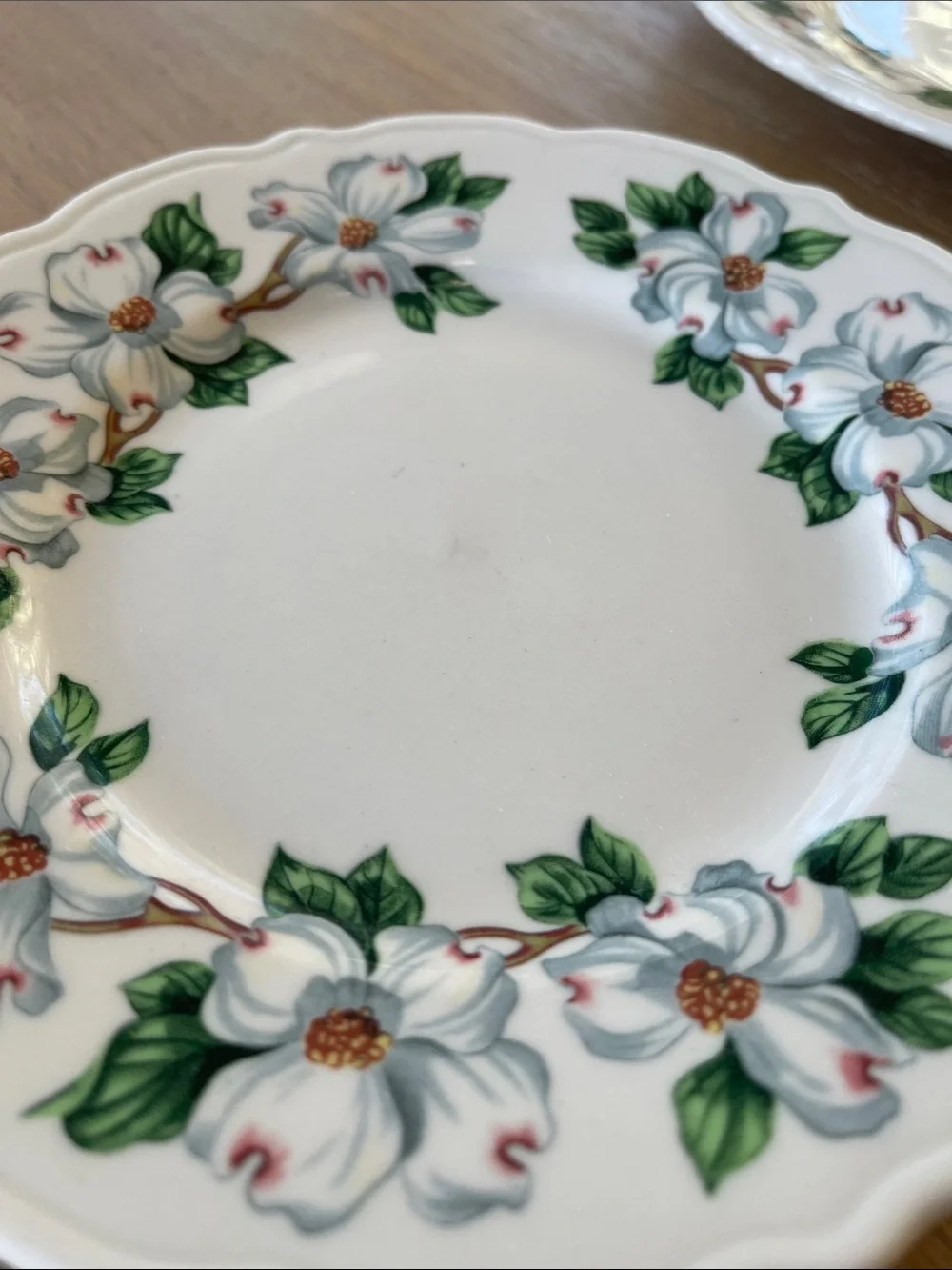 Syracuse China Restaurant Ware Dogwood Pattern Set of 7 Salad Plates USA 7.5”
